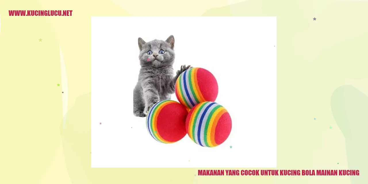 Gambar makanan kucing