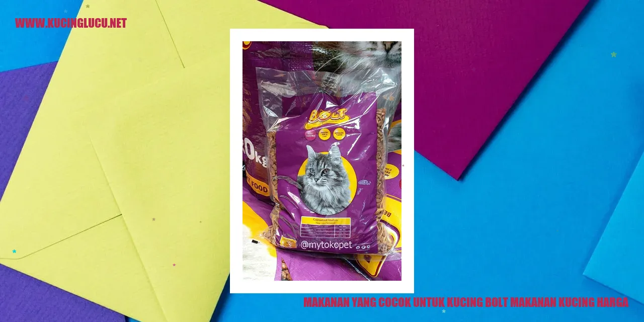 Makanan Kucing