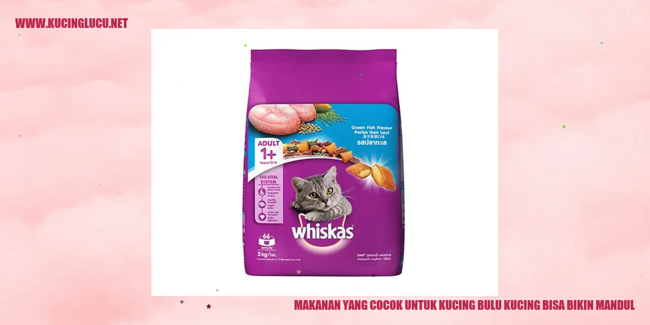 Kucing Makanan