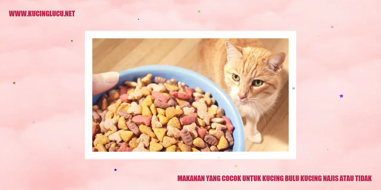 Bulu Kucing yang Sehat