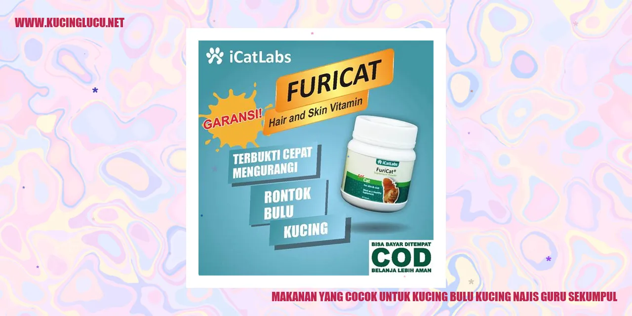 Gambar Kucing