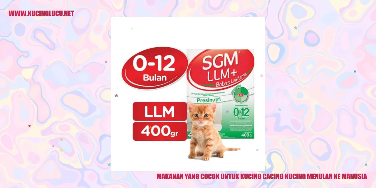Gambar Kucing
