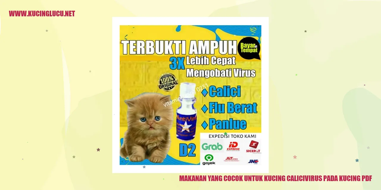 Gambar Kucing