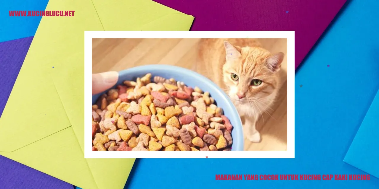 Makanan yang Cocok untuk Kucing Cap Kaki Kucing