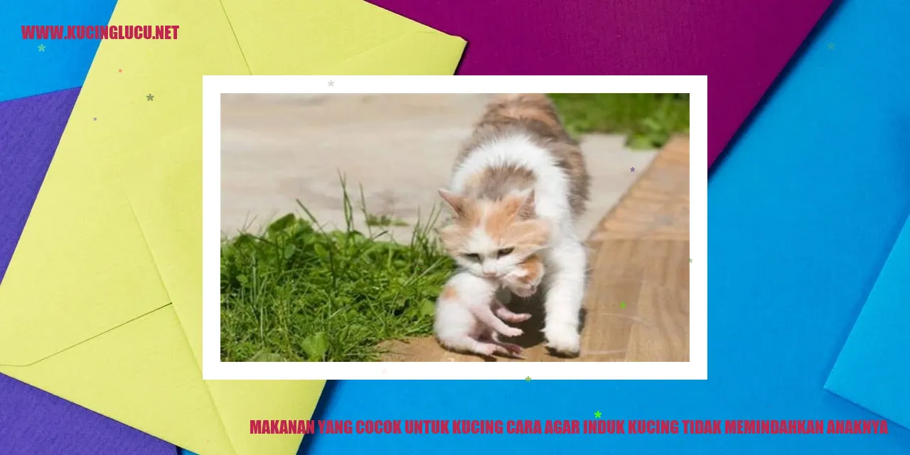 Makanan yang Cocok untuk Kucing cara agar induk kucing tidak memindahkan anaknya
