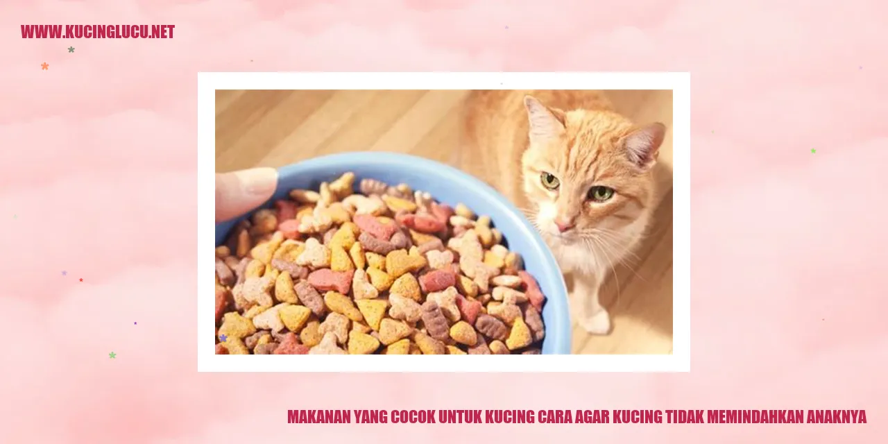 Makanan yang Cocok untuk Kucing