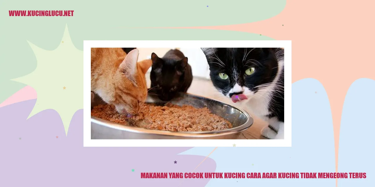 Makanan yang Cocok untuk Kucing cara agar kucing tidak mengeong terus