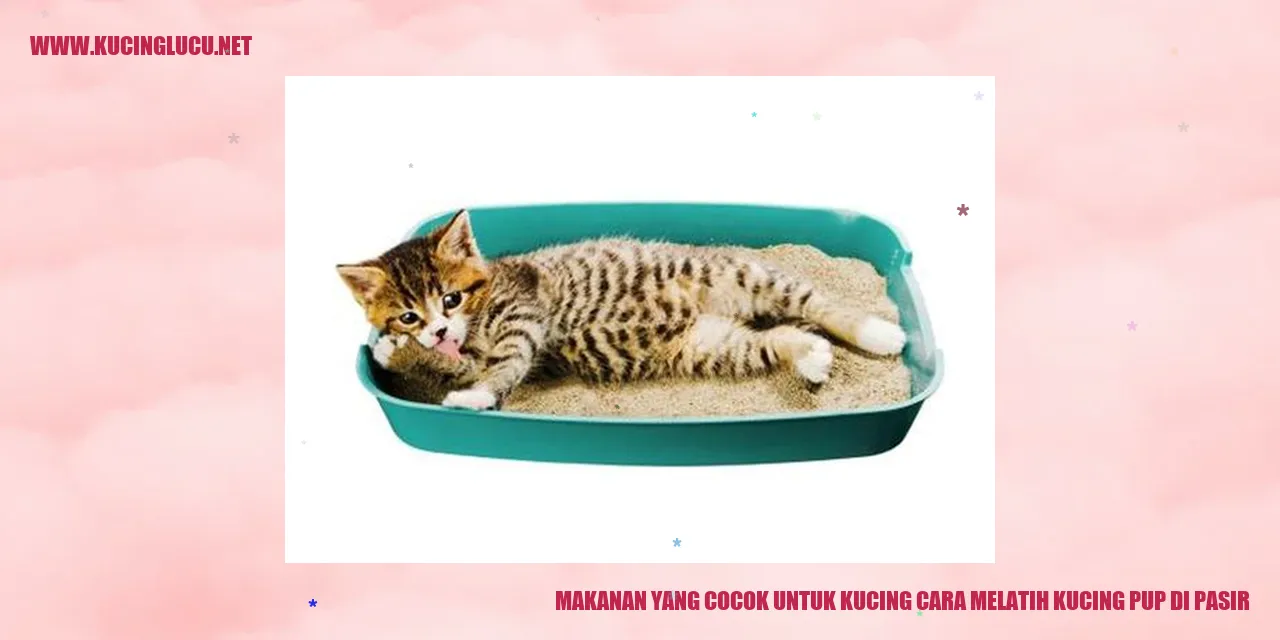 Makanan yang Cocok untuk Kucing cara melatih kucing pup di pasir