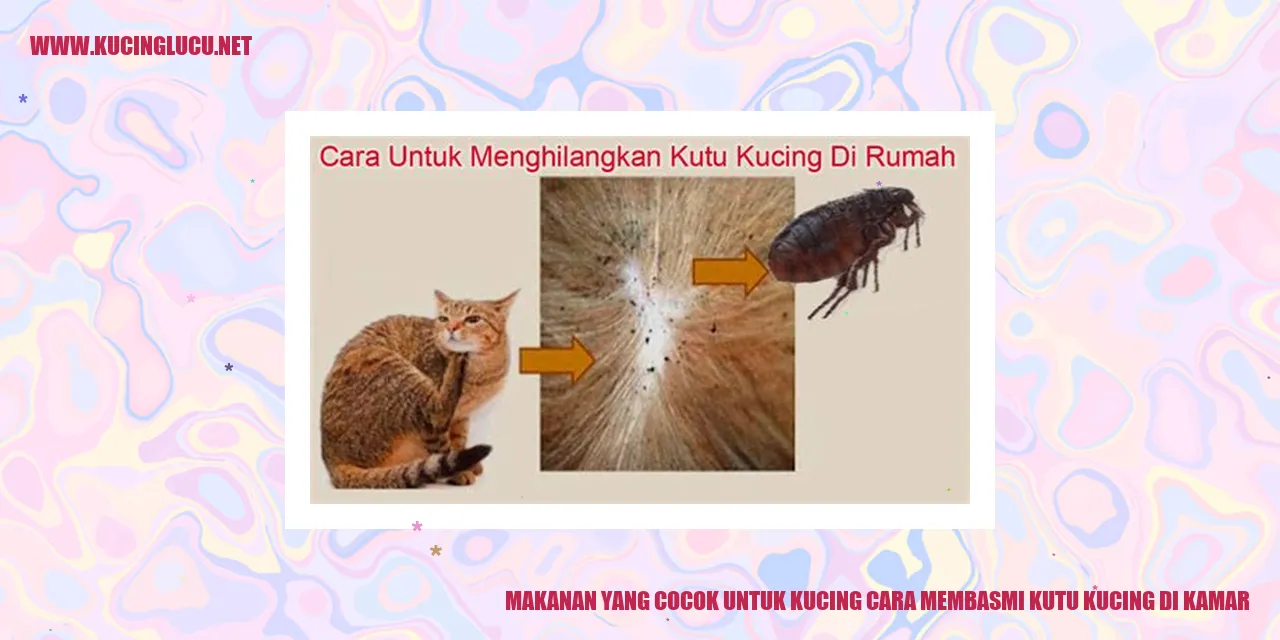 Makanan untuk Kucing