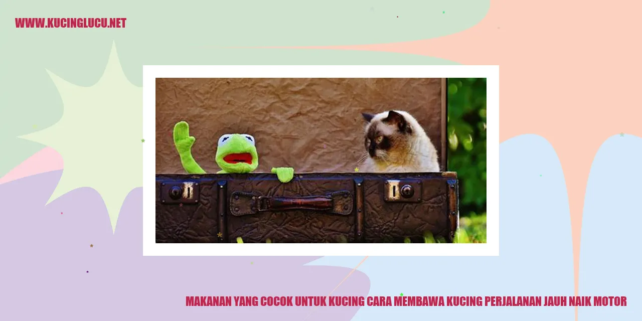 makanan-kucing-naik-motor
