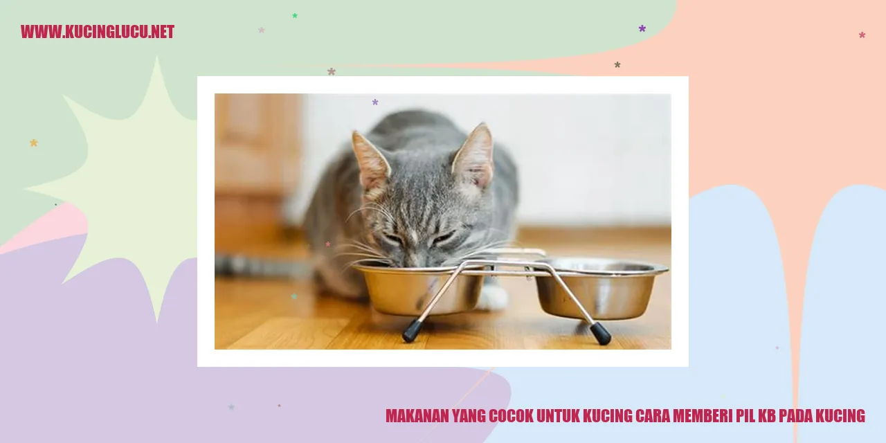 Gambar kucing