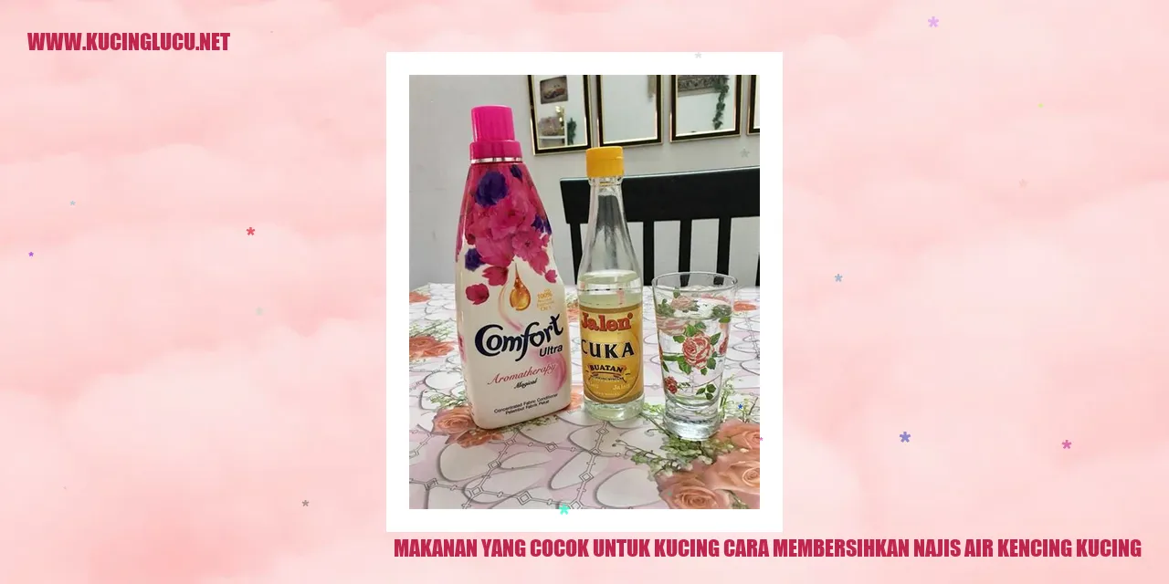 Gambar Kucing Makanan