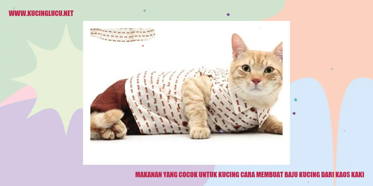 gambar kucing
