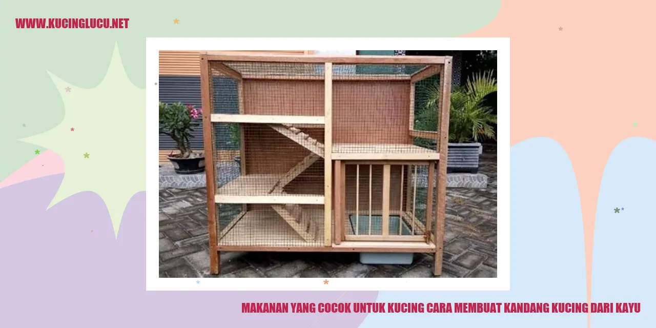 makanan kucing