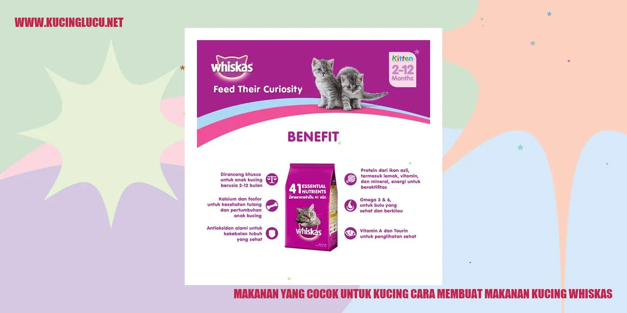 Gambar Makanan Kucing