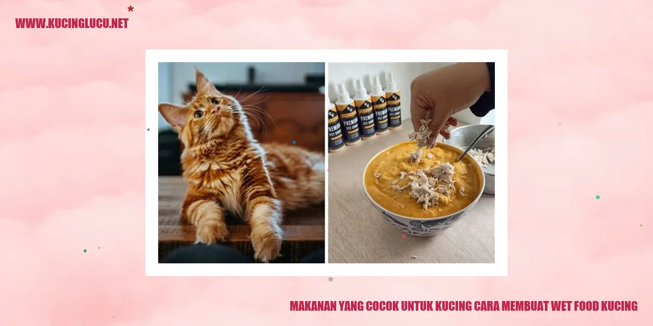 Gambar kucing makan wet food