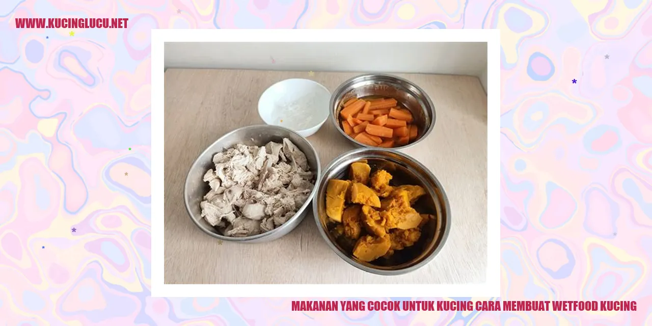 makanan untuk kucing