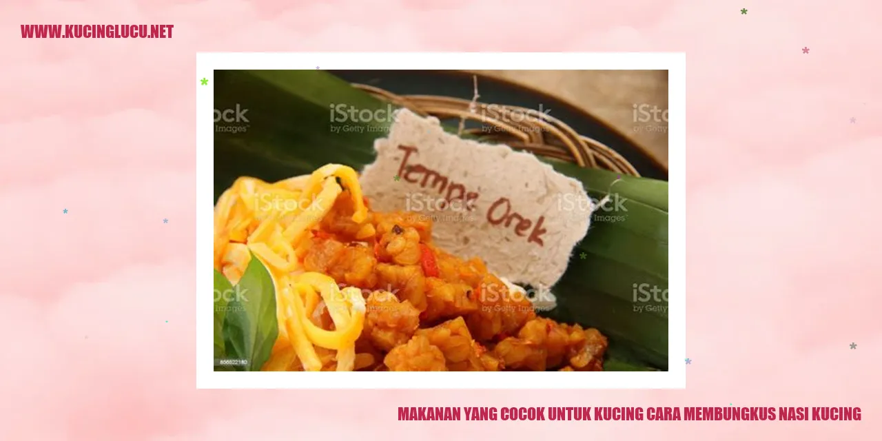 Ilustrasi Kucing dan Makanannya