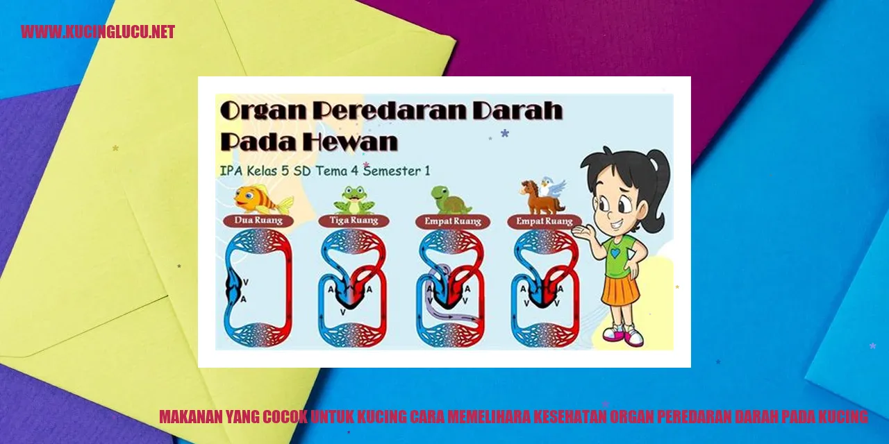 Makanan Kucing yang Cocok