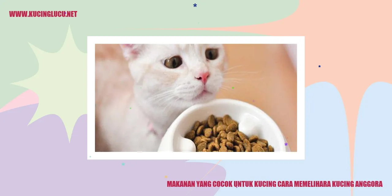Kucing Anggora yang Menggemaskan