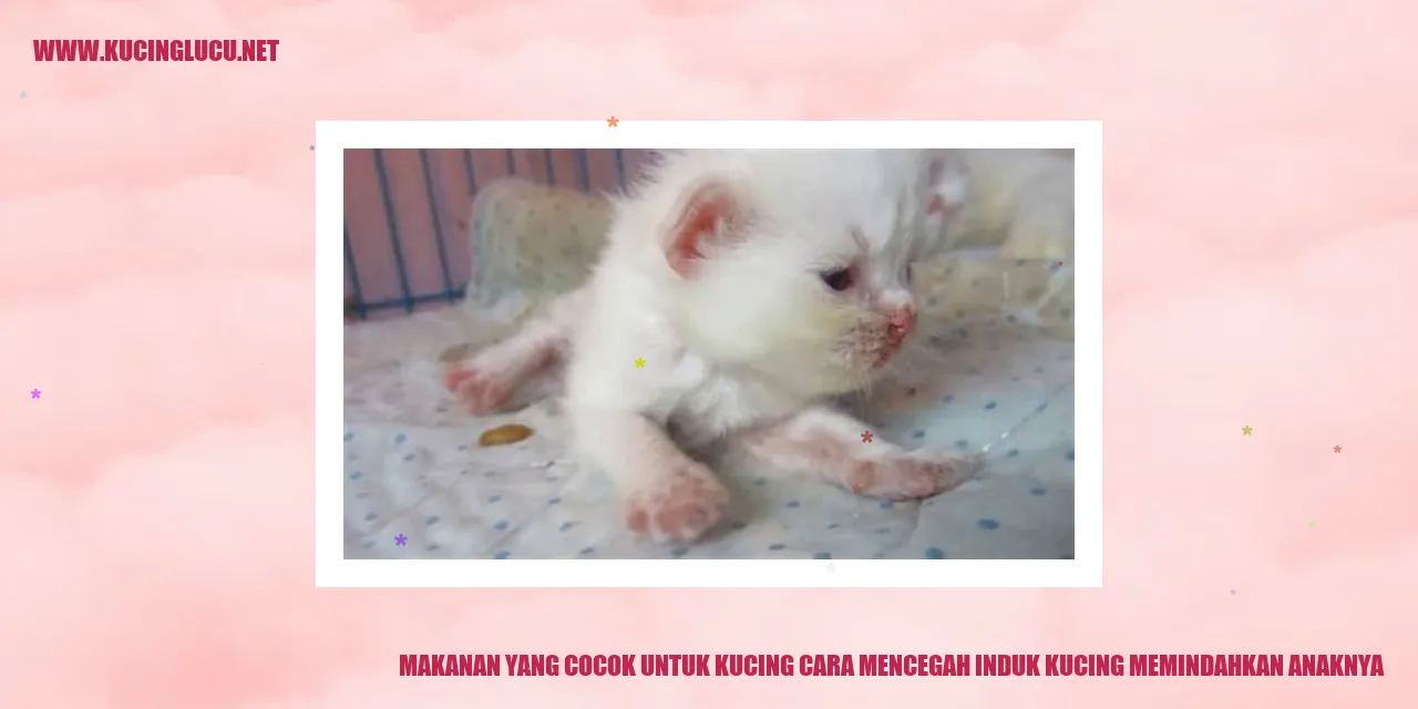 gambar makanan kucing dan kucing dengan anaknya