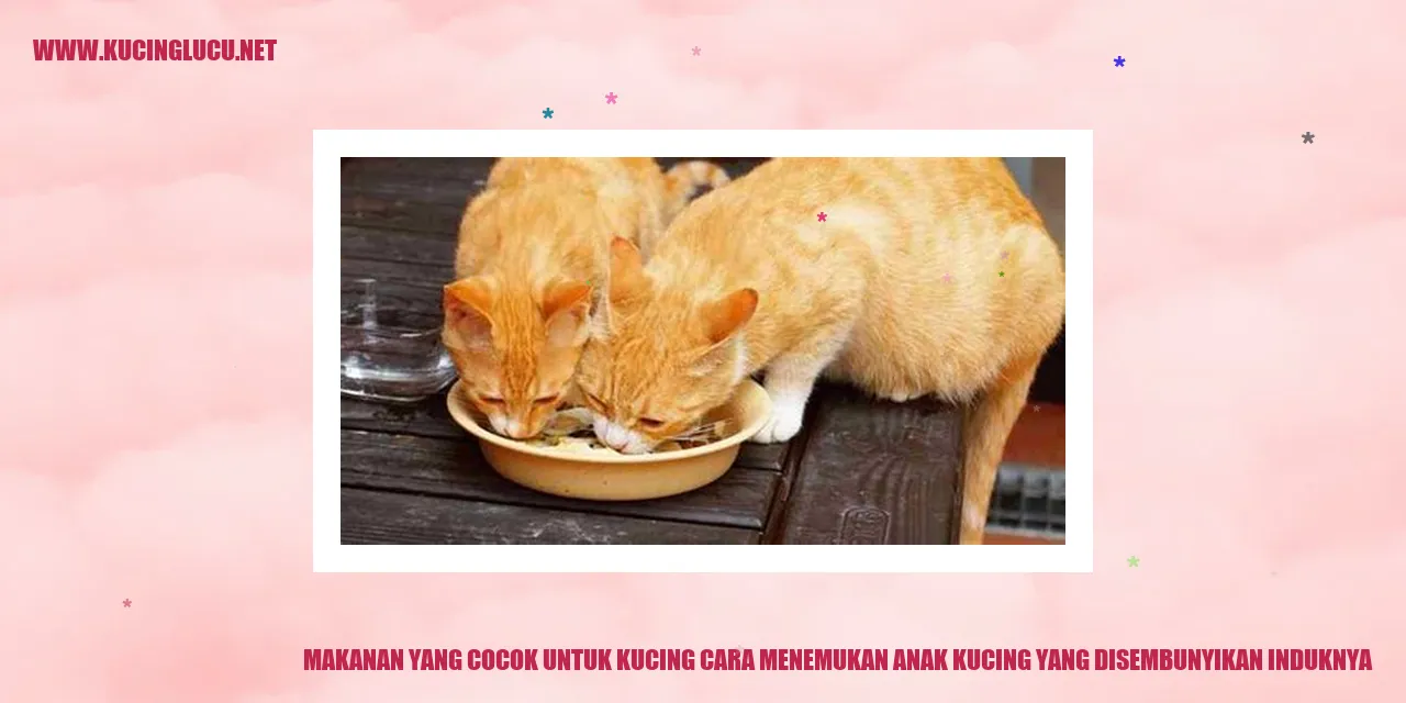 gambar makanan kucing