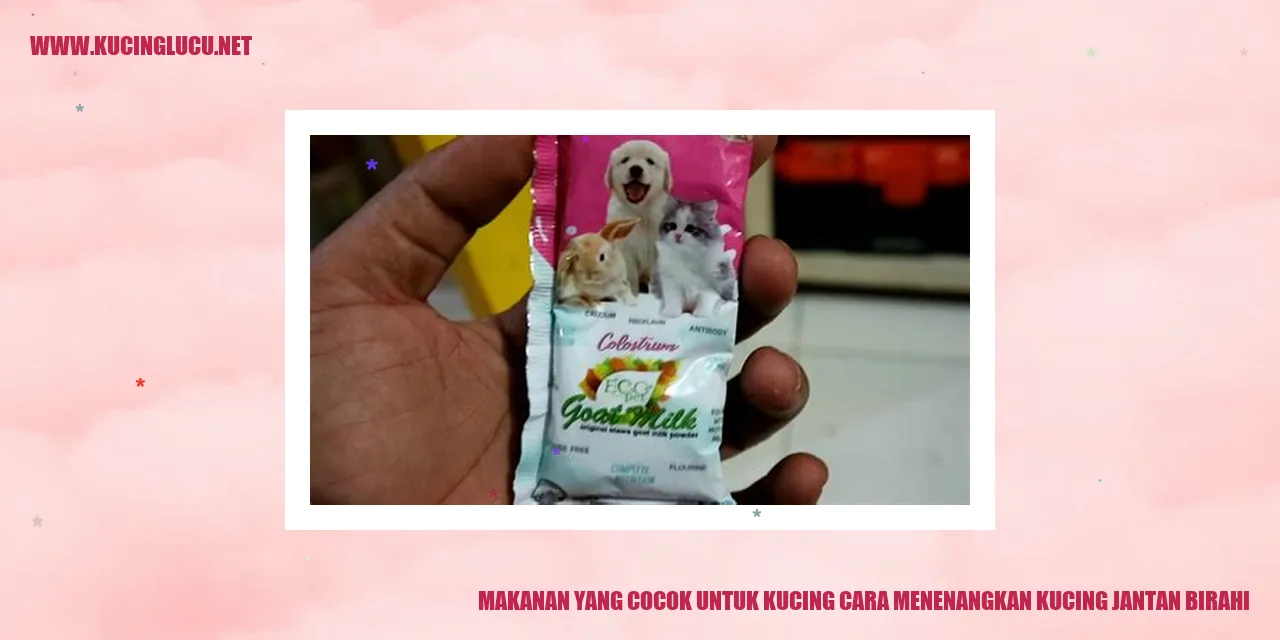 Makanan untuk Kucing