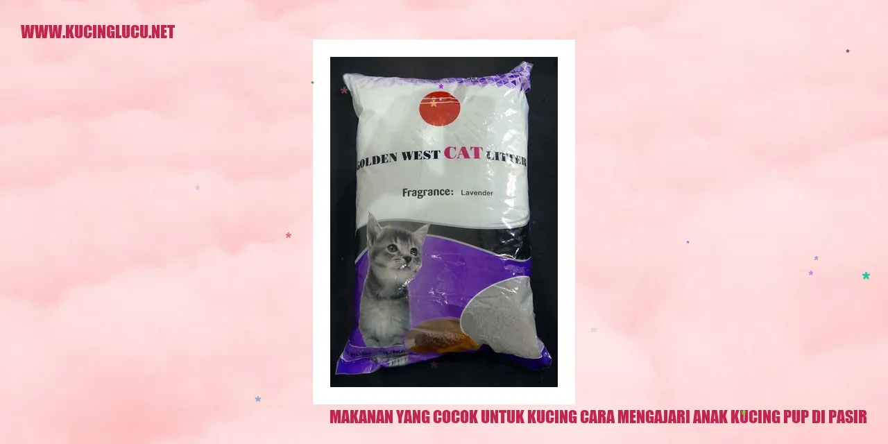 Makanan yang Sesuai untuk Kucing dan Cara Mengajari Anak Kucing Buang Air di Pasir