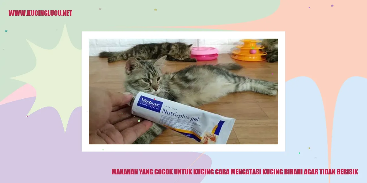 Makanan yang Cocok untuk Kucing