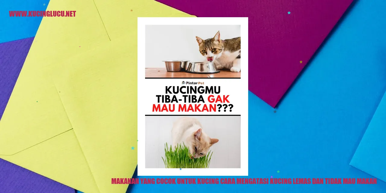 Makanan yang Cocok untuk Kucing cara mengatasi kucing lemas dan tidak mau makan