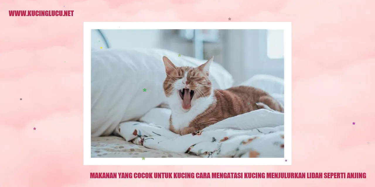 Gambar kucing menjulurkan lidah