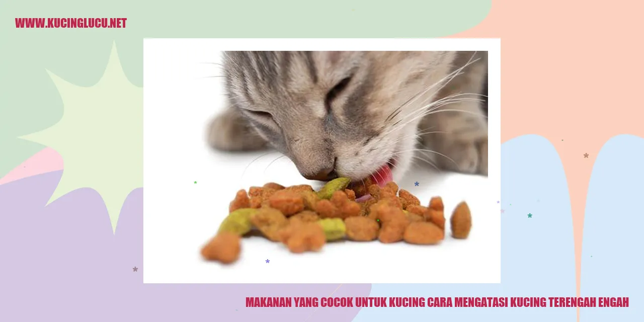 gambar makanan untuk kucing
