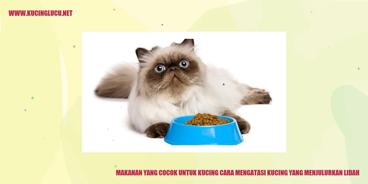 Gambar Kucing