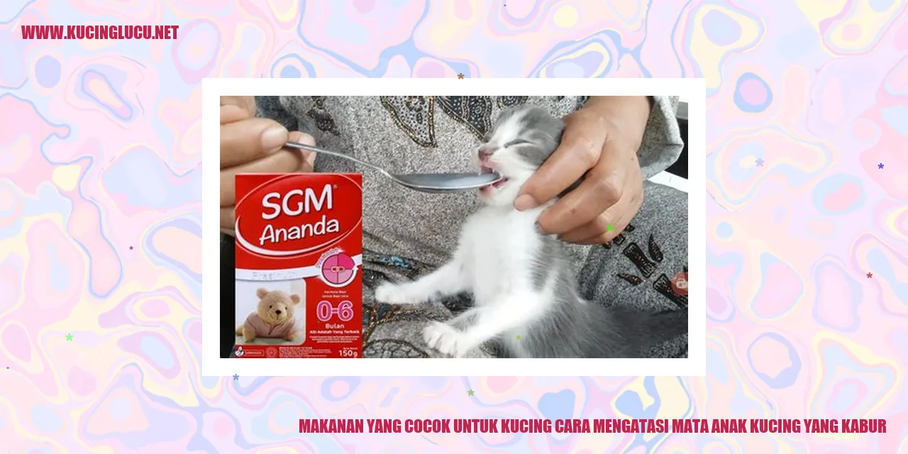 Makanan Kucing