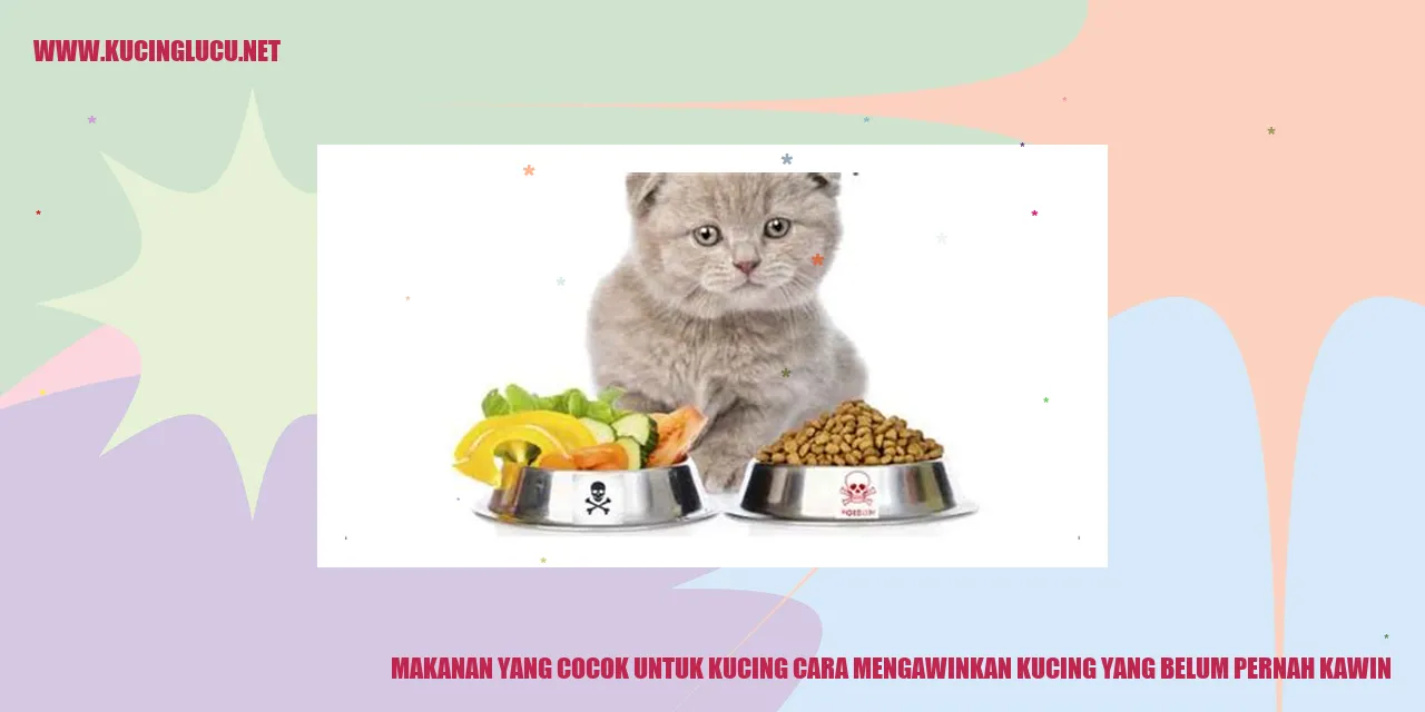 Gambar Kucing Mengawinkan