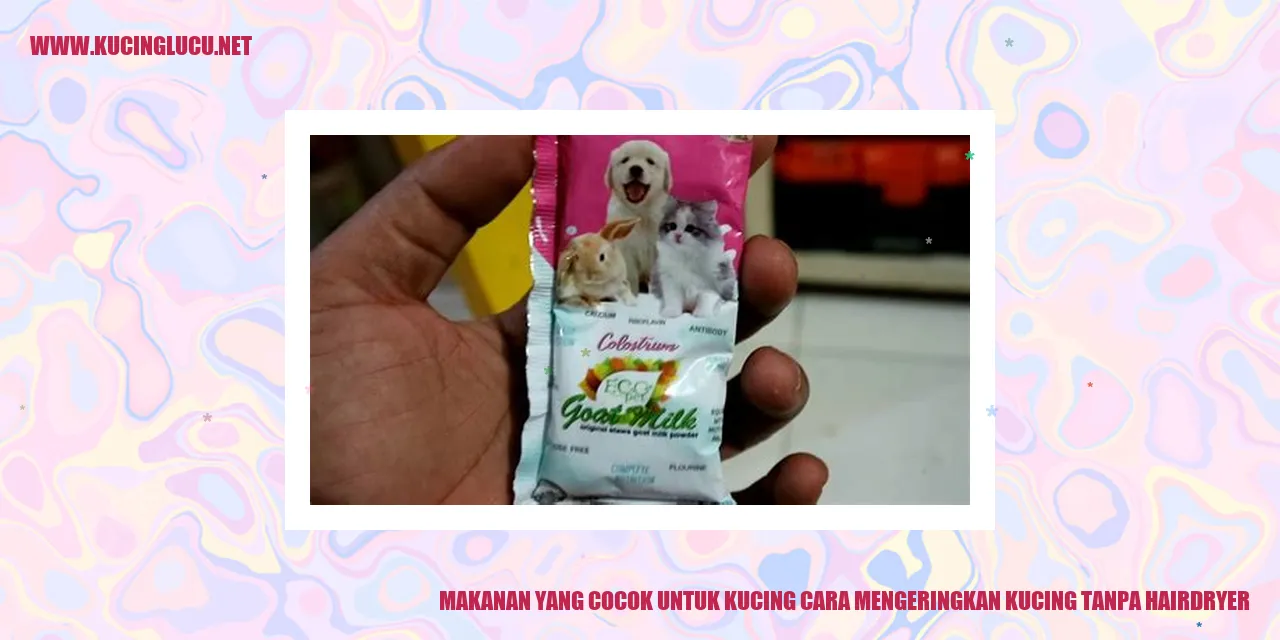 Gambar Makanan untuk Kucing