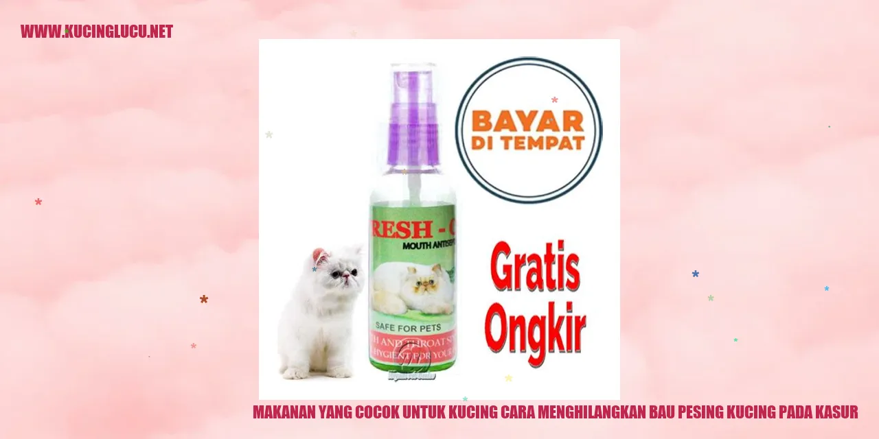 Makanan yang Cocok untuk Kucing