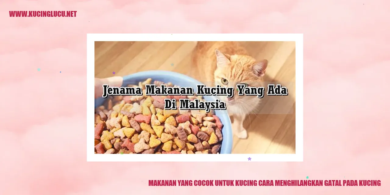 Gambar Kucing