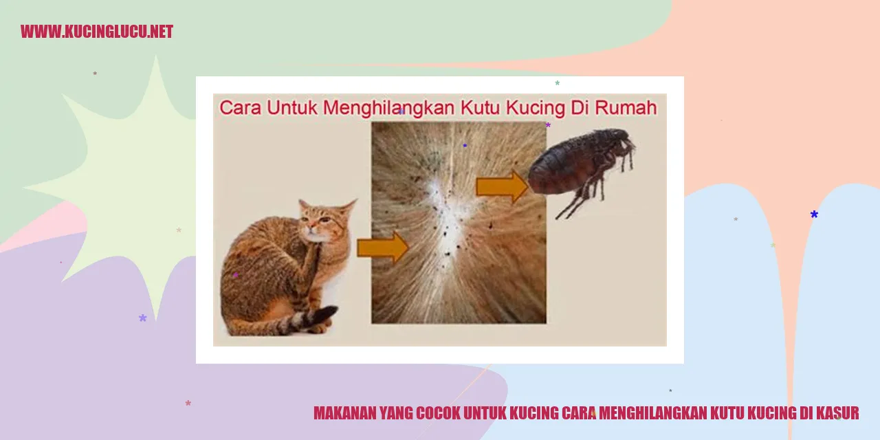 Makanan Kucing