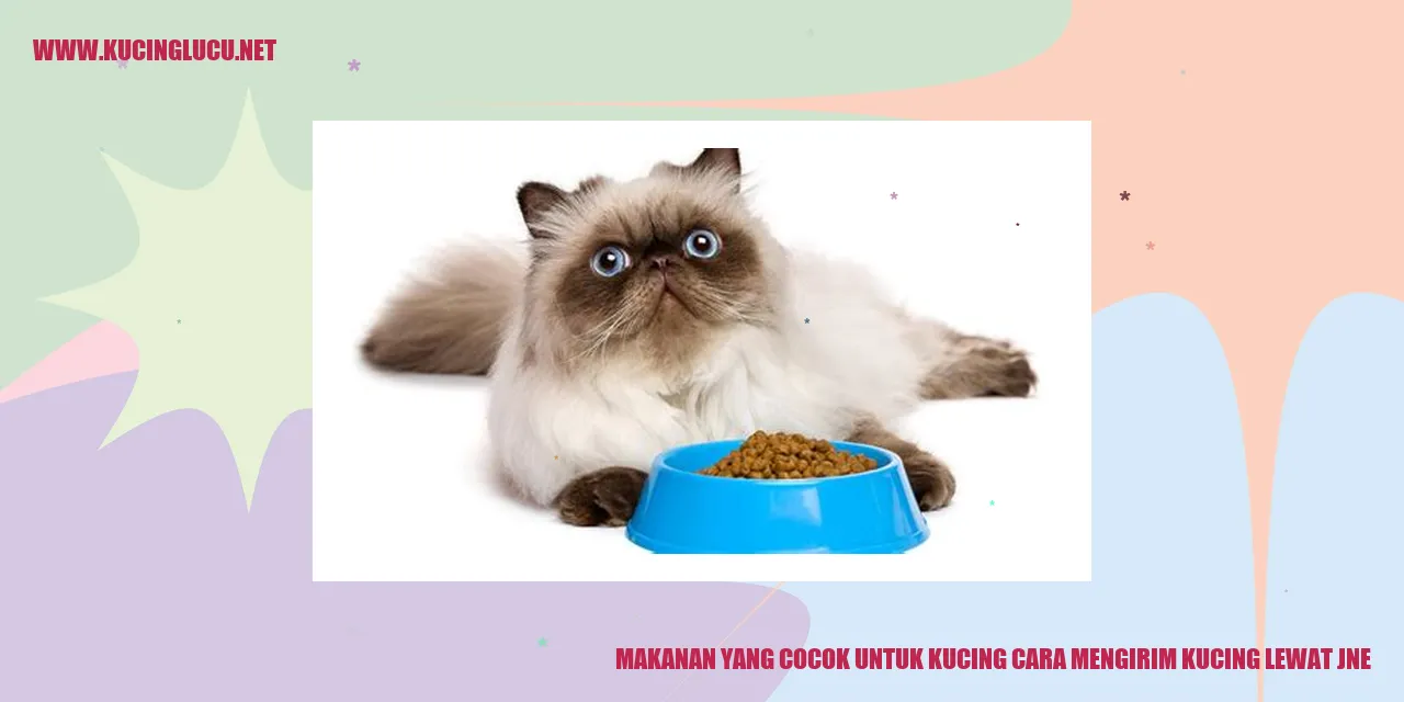 makanan kucing