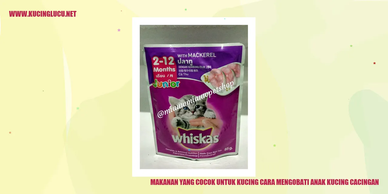Gambar: Makanan yang Sesuai untuk Kucing