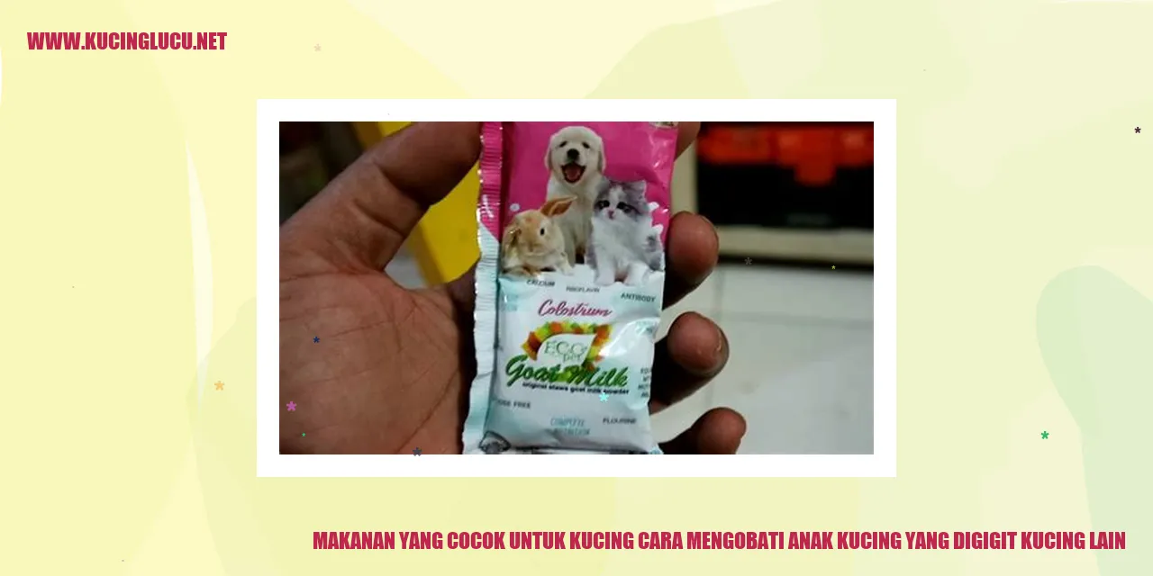 gambar kucing