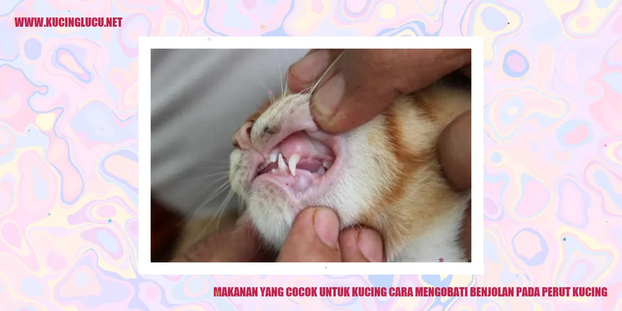 Kucing Makanan