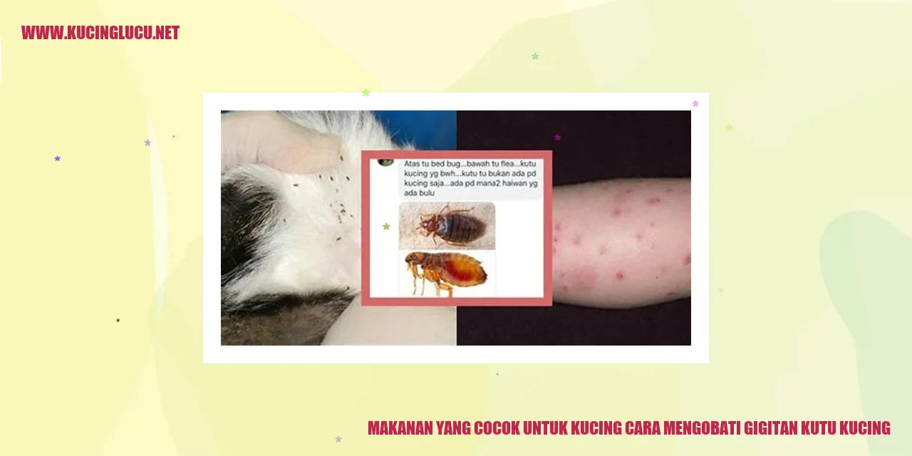 Makanan untuk Kucing