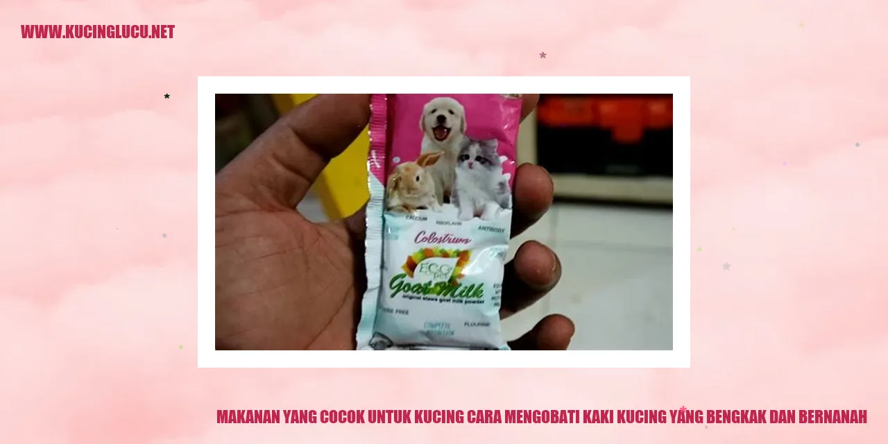 Kucing Makanan