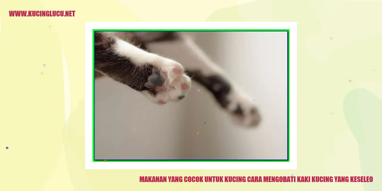 Gambar kucing dan makanan