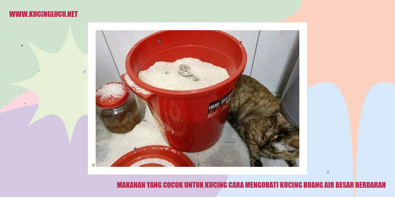 Kucing
