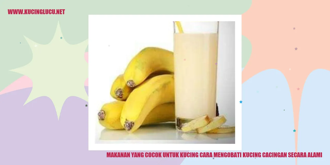 Cara mengobati kucing cacingan secara alami