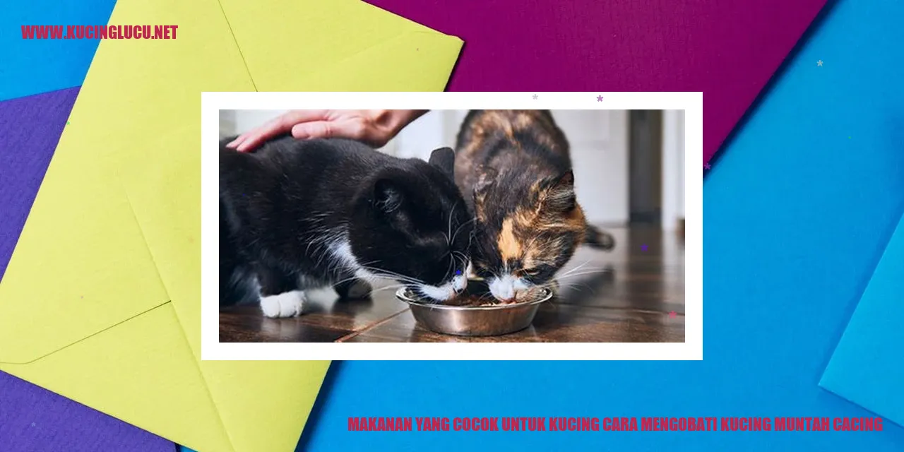 Gambar Kucing