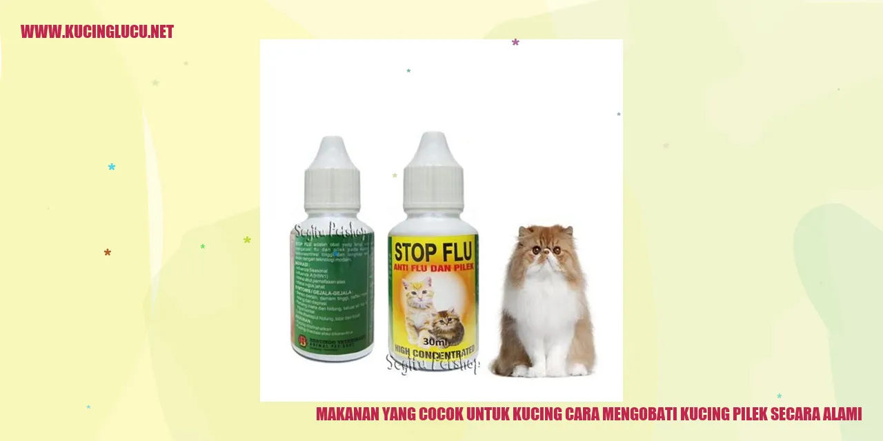 Makanan yang Cocok untuk Kucing